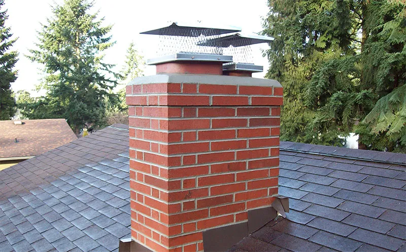 Chimney Pointing on top of house roof